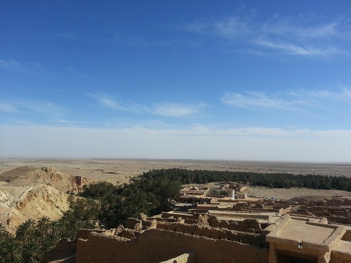 оазис в пустыне фото из личного архива