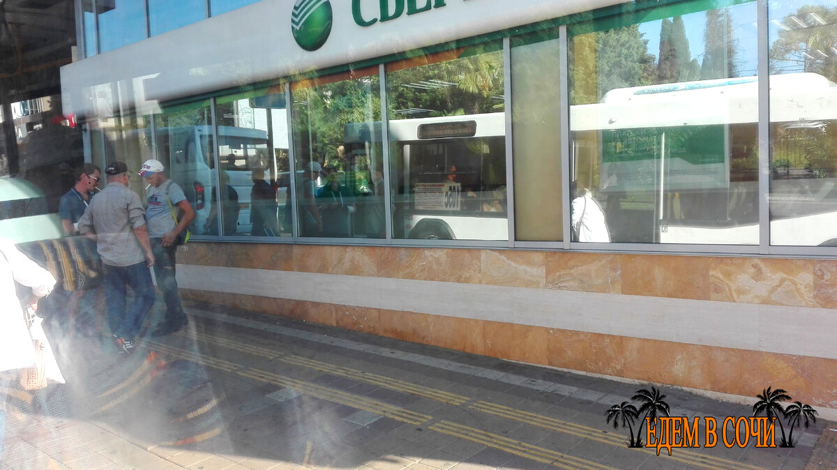 Из окна автобуса.