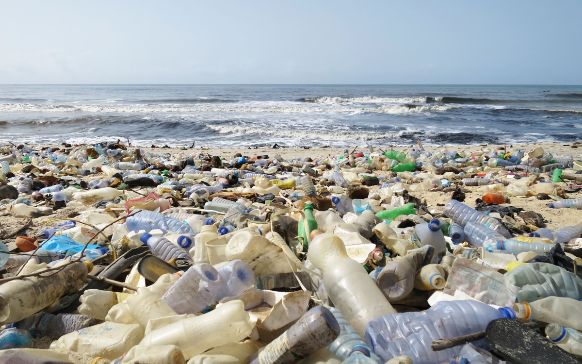 Фото из Яндекс.