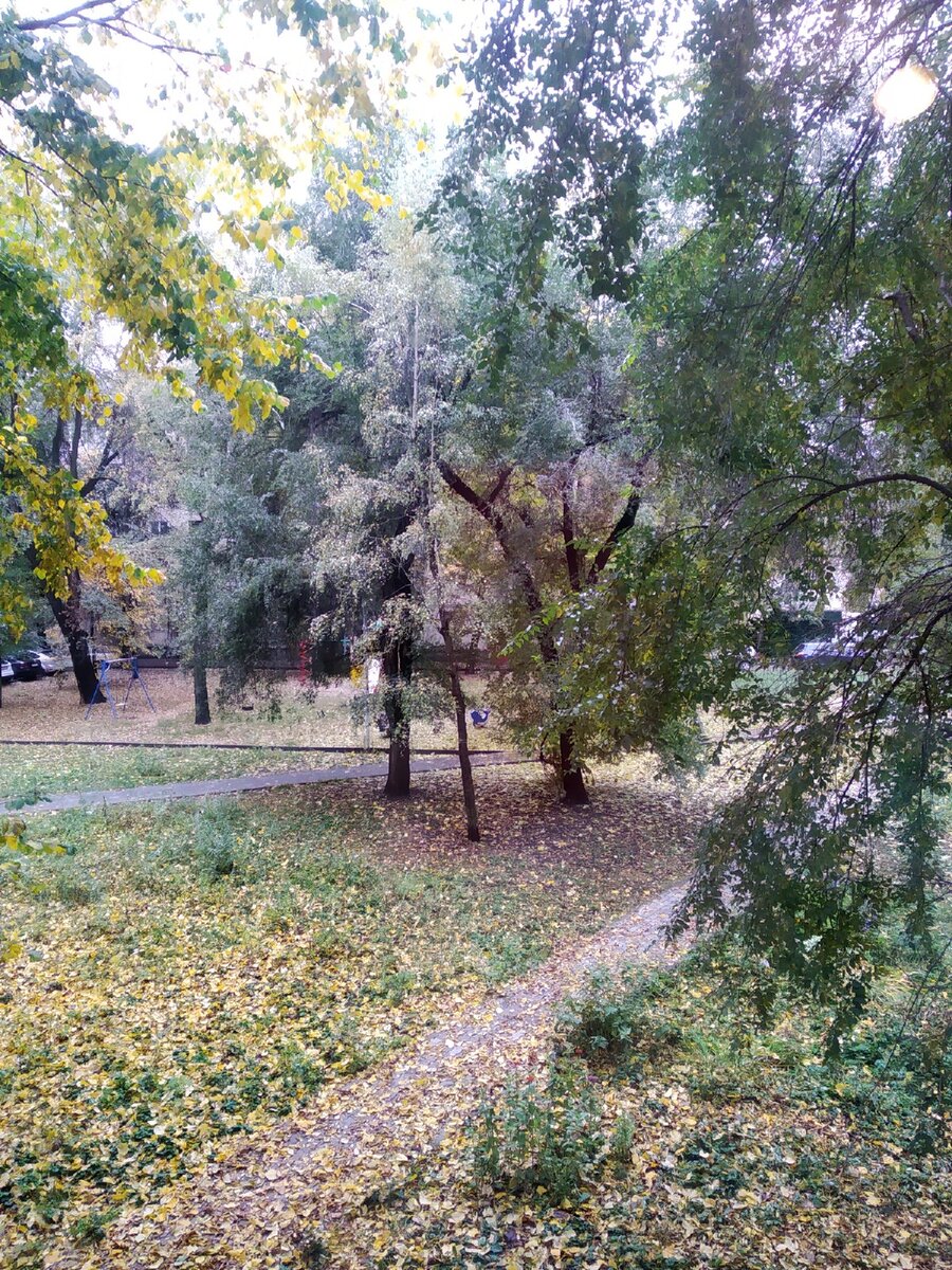 А из нашего окна осень чудная видна...