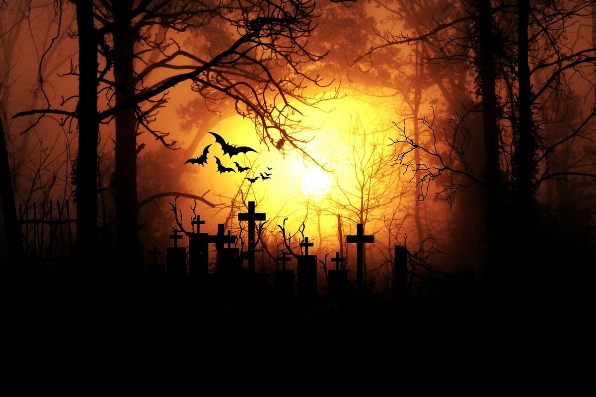 https://cdn.pixabay.com/photo/2015/04/02/08/56/moonlight-703554_1280.jpg