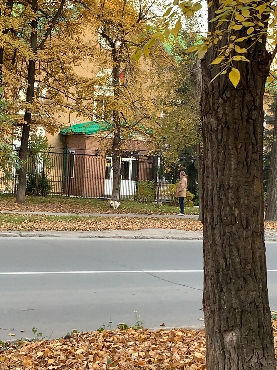 Собачка гуляет!!!