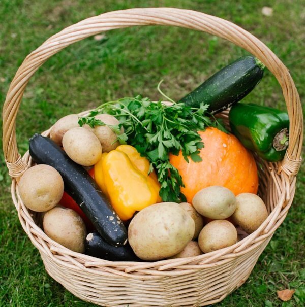 https://cdn.pixabay.com/photo/2019/09/25/20/10/basket-4504607_960_720.jpg