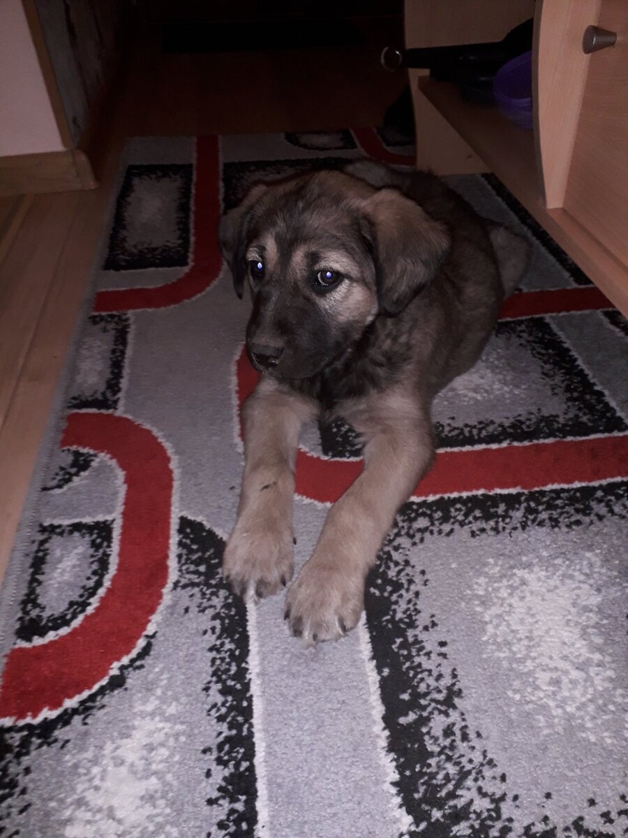 Парнишка супер!