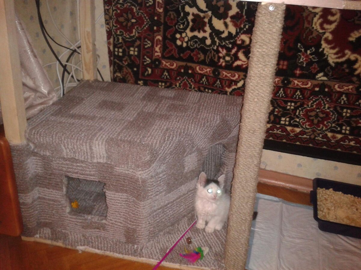 Папа сделал домик своими руками...На вырост ...