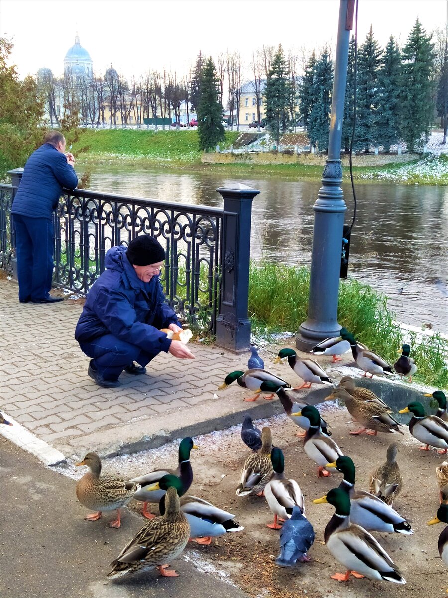 На набережной Торжка