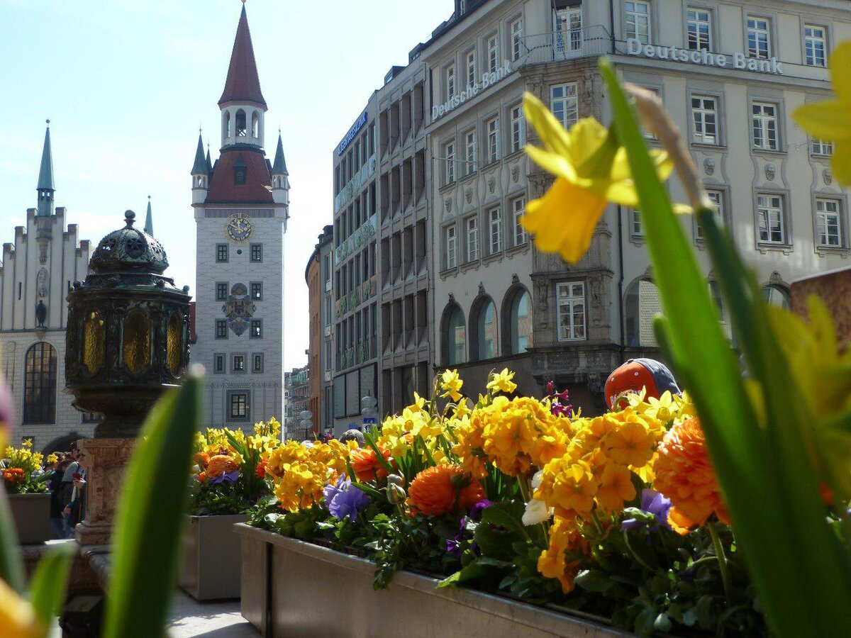Фото автора. Замок Нойшвайнштайн