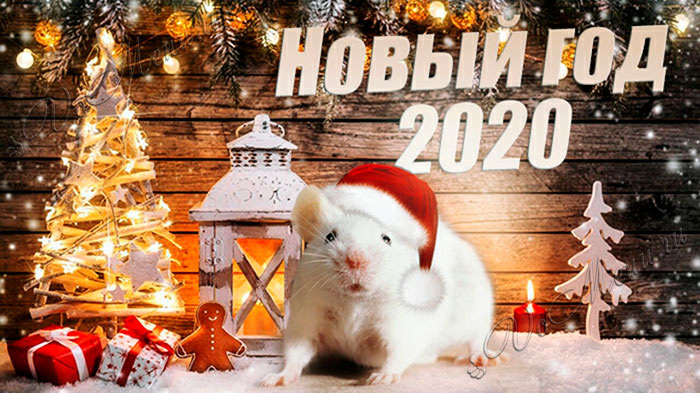 яндекс картинки
