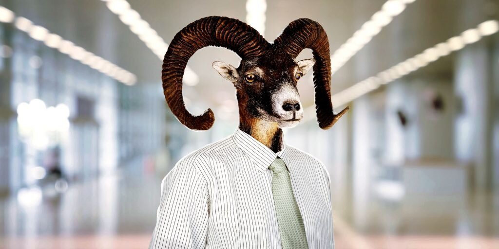 (Яндекс.картинки) оВЕН