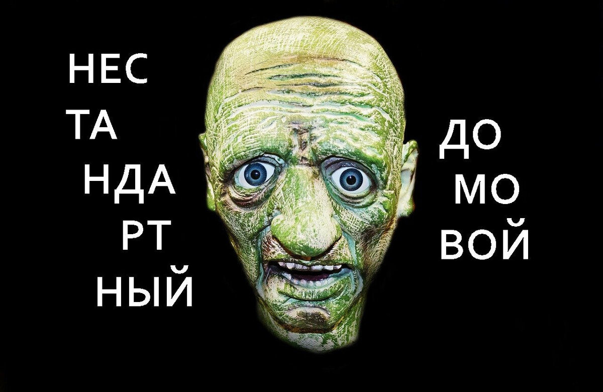 Фото с сайта: https://pixabay.com