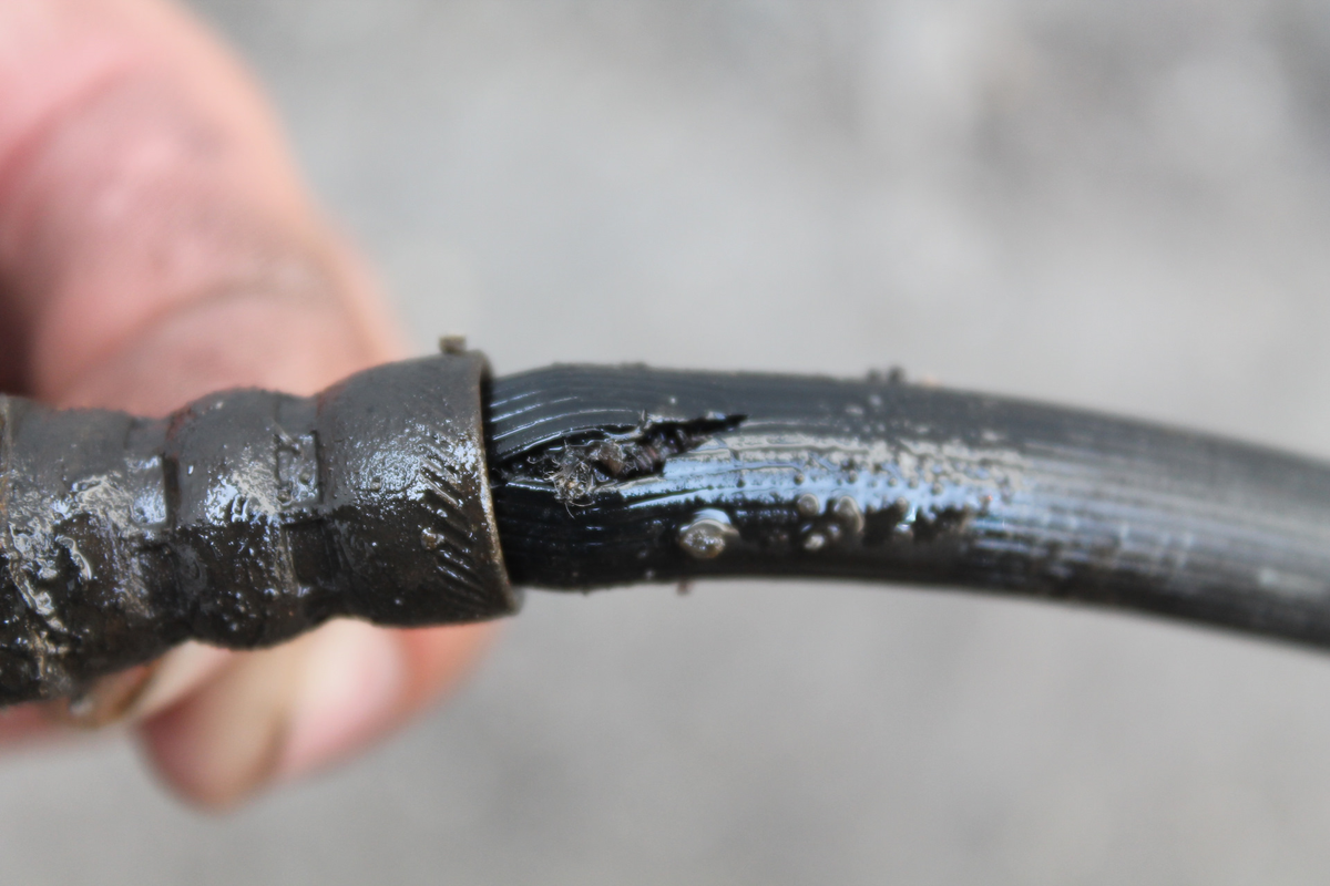 Фото из интернета