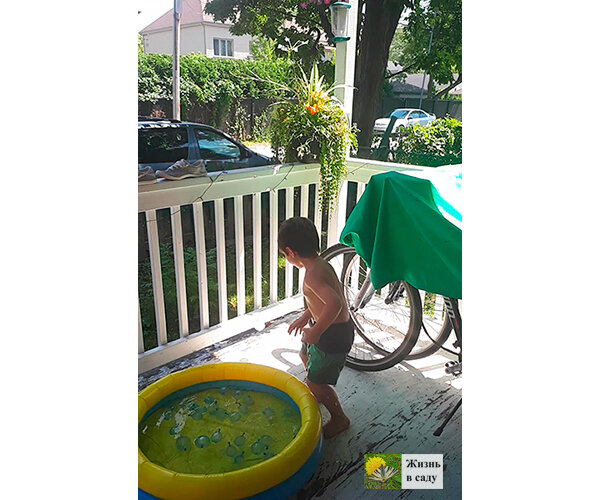 Чему сын был всегда очень рад