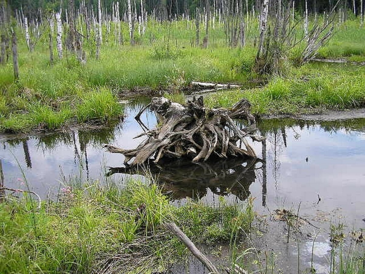 Чертово болото Миасс