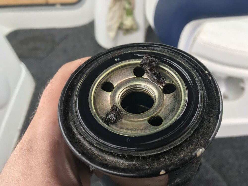 Вот такоэ было в старом топливном фильтре. 11 лет не меняли.