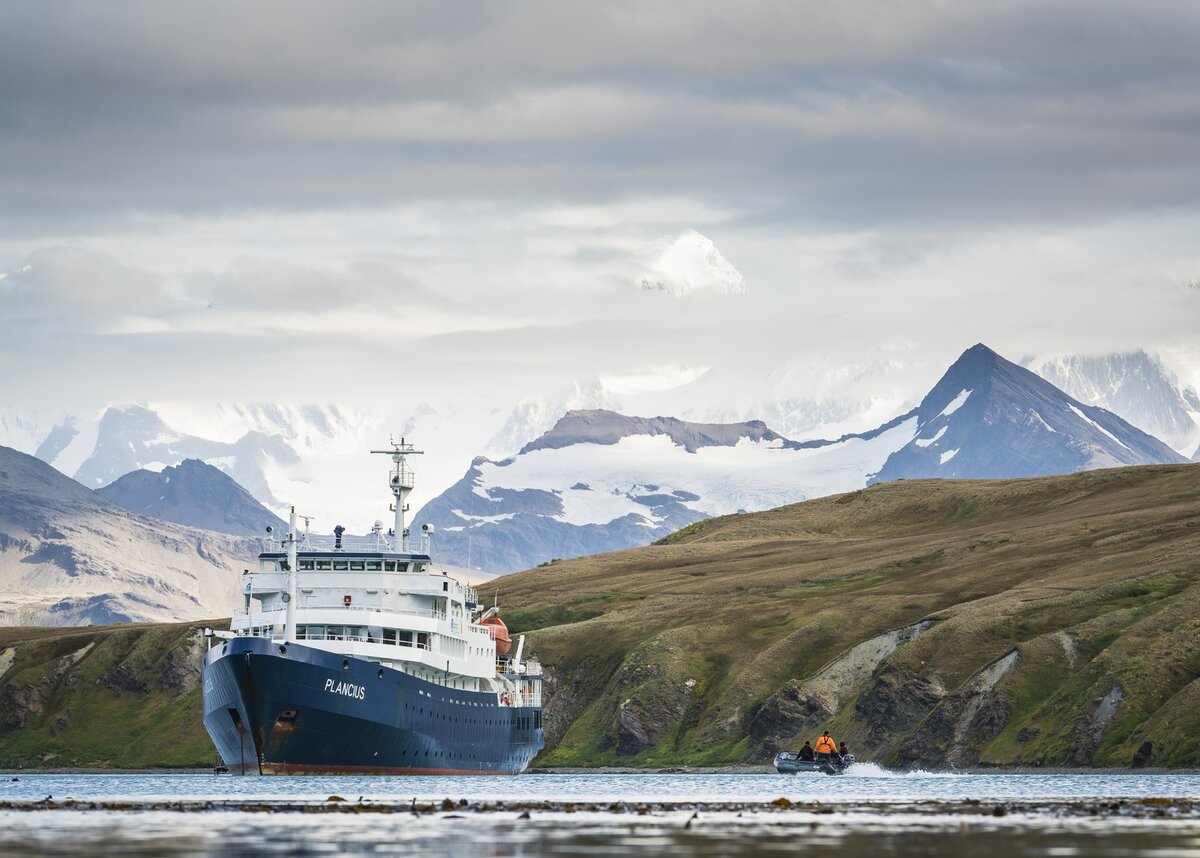 Oceanwide expeditions. Южная Георгия Антарктида. Остров Георгия Антарктида. Остров Южная Джорджия Антарктида. Южные Сандвичевы острова.