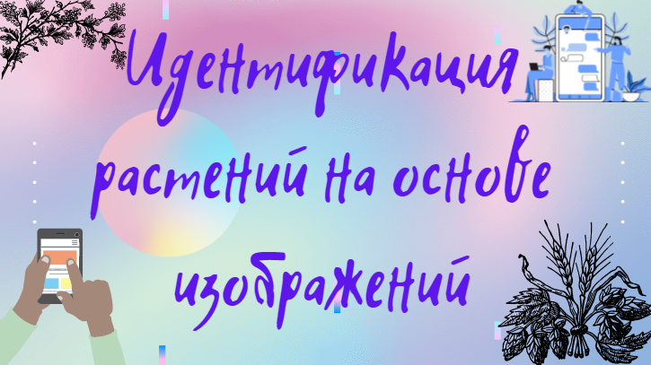Идентифицировать растение