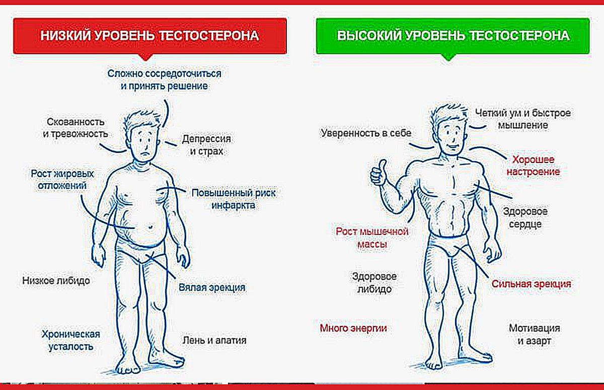 Сексуальная энергетика женщины