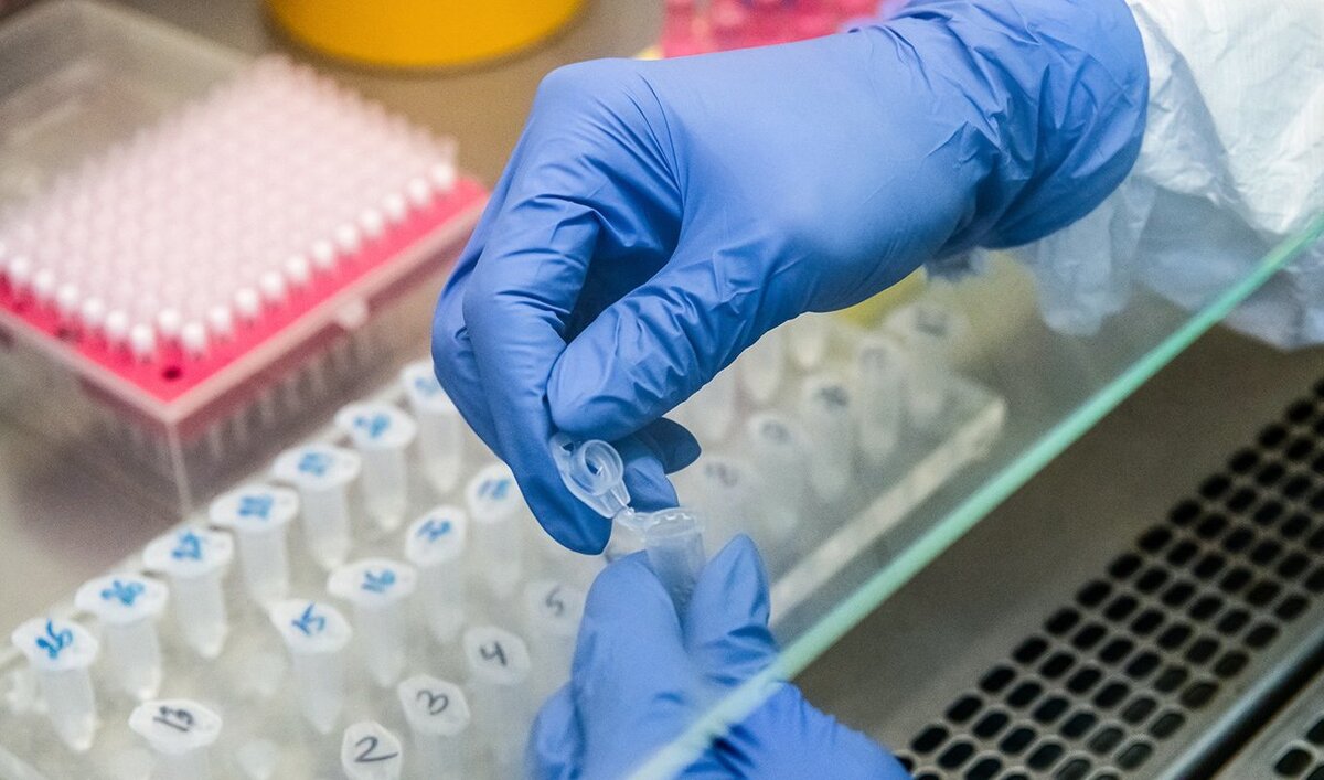 Сдача анализов на коронавирус.