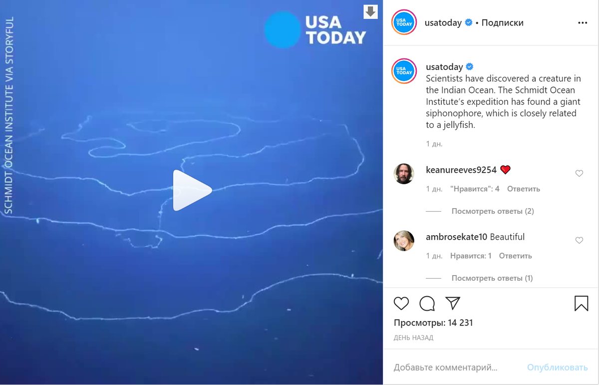 Фото: принтскрин instagram @USA Today