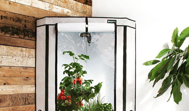 Оборудование для гидропоники. Гроутент HOMELAB в современном LOFT стиле