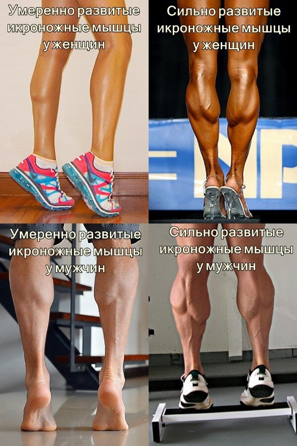 «Какие комплексы упражнений с гантелями есть для мужчин? » — Яндекс Кью