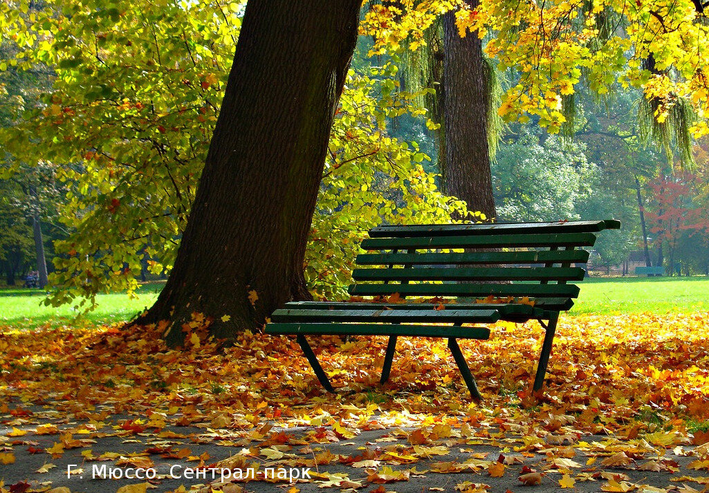 Фото с сайта pixabay.com