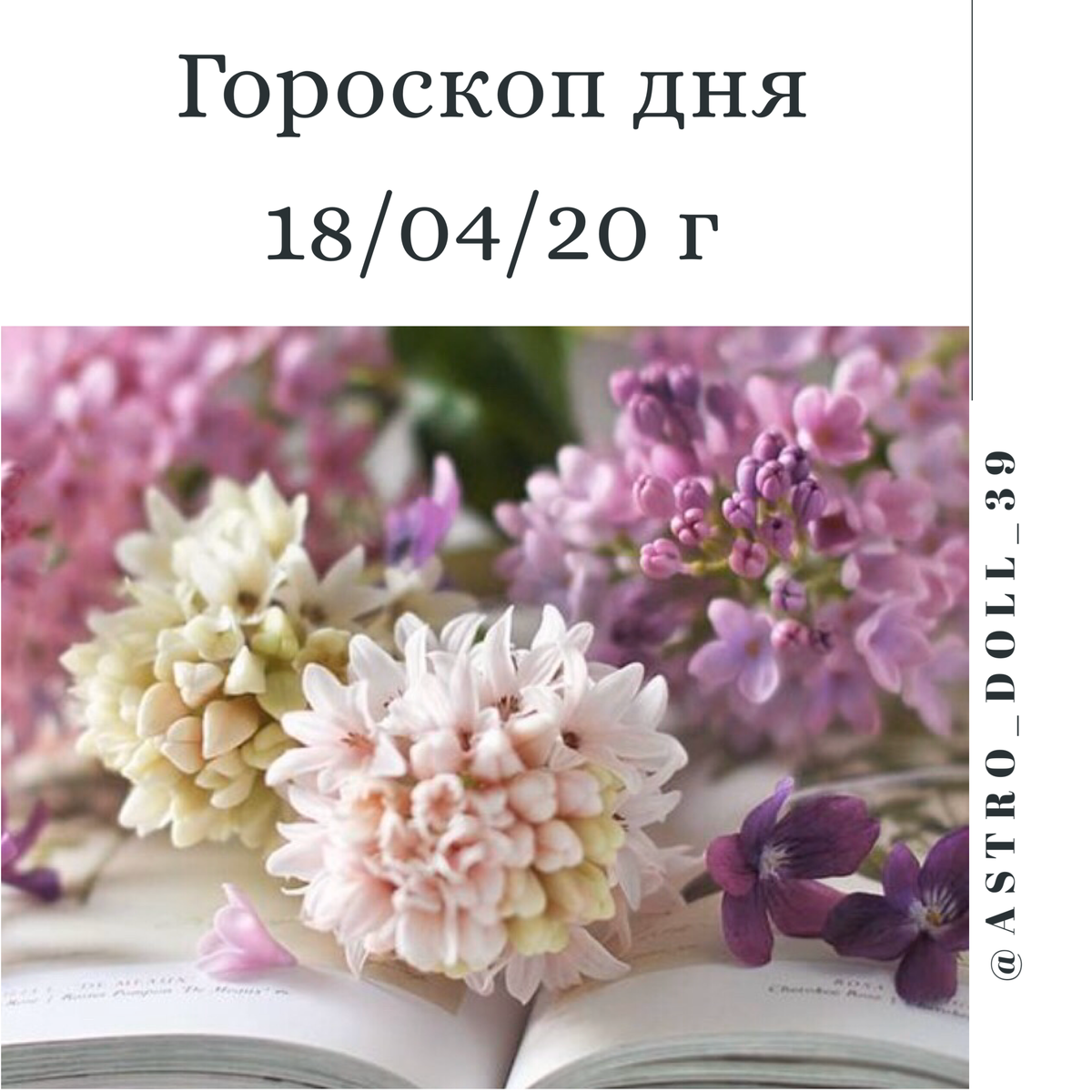 Фото из интернета 