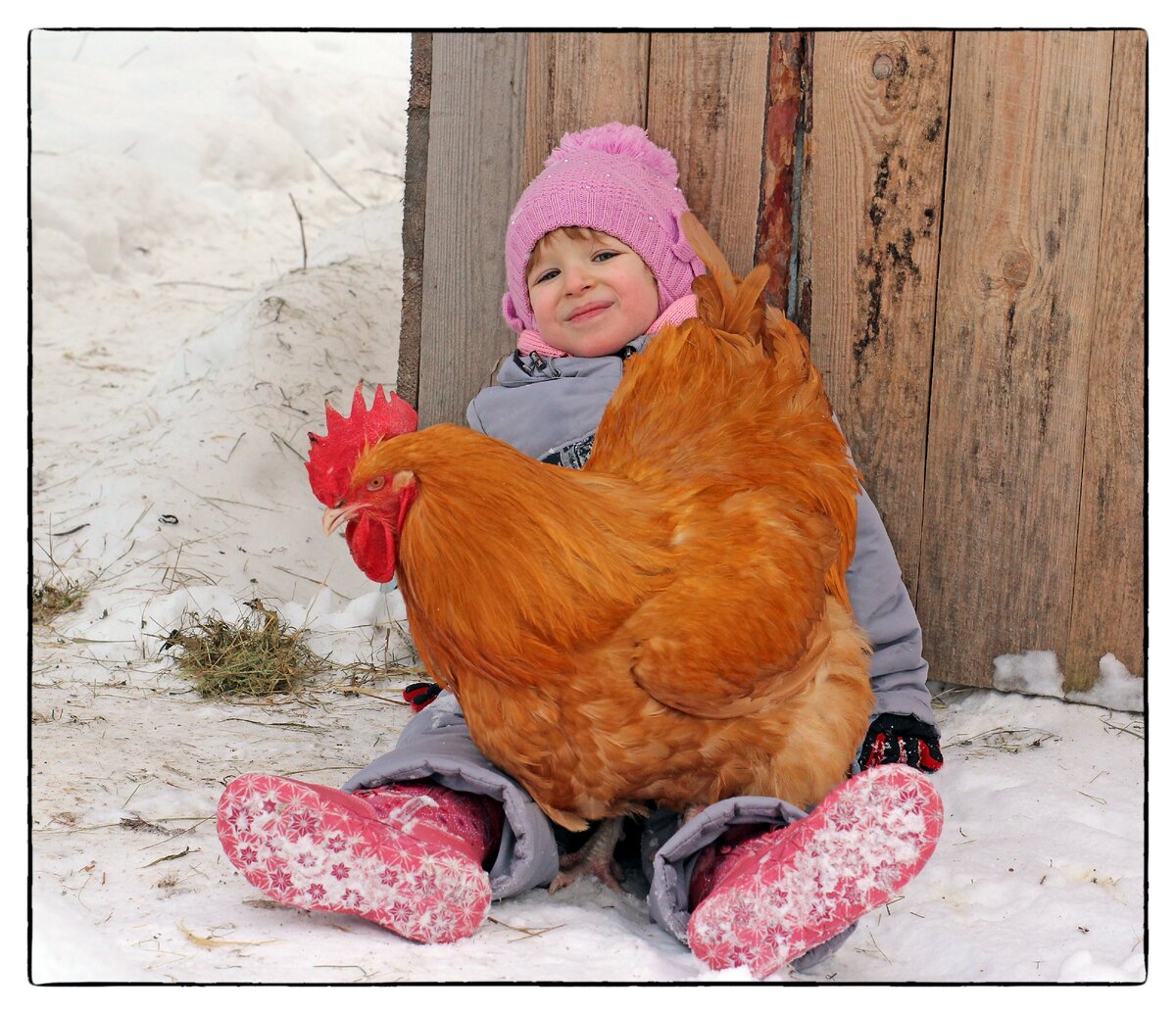 Любимцы детей:)