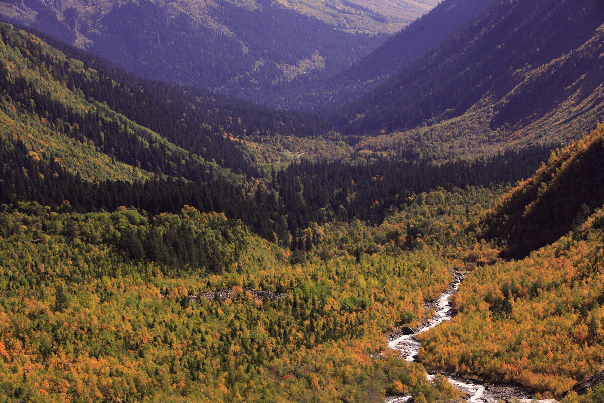 Домбай фото осенью город