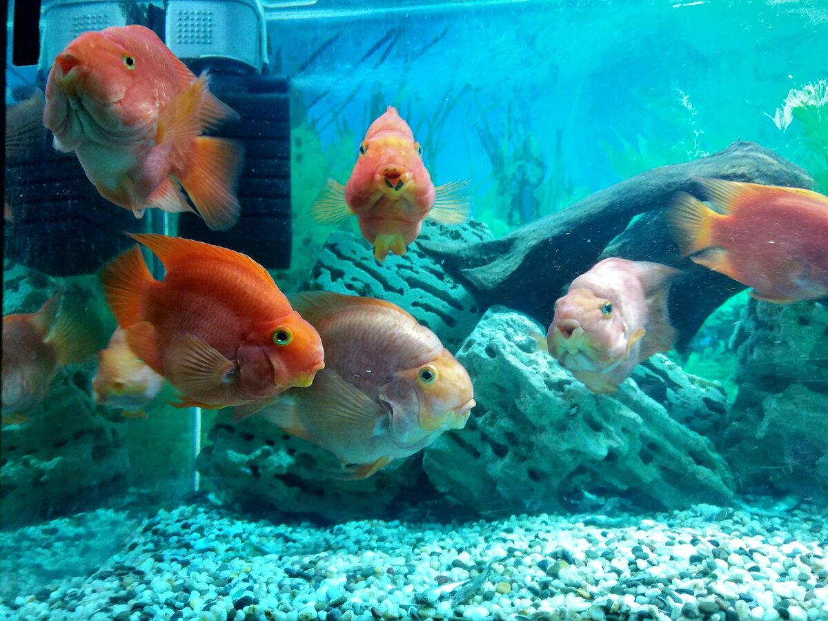 Фото из личного архива