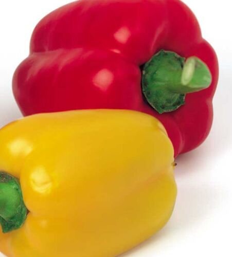     Шампиньоны лучше всего заранее замочить в холодной солёной воде на 10 – 15 минут, затем воду слейте и промойте грибы. Болгарский перец тщательно помойте, удалите плодоножку и семена изнутри, листья салата тоже вымойте. Красный лук очистите от шелухи и сполосните.   