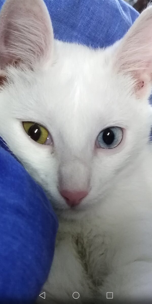 Личное фото.