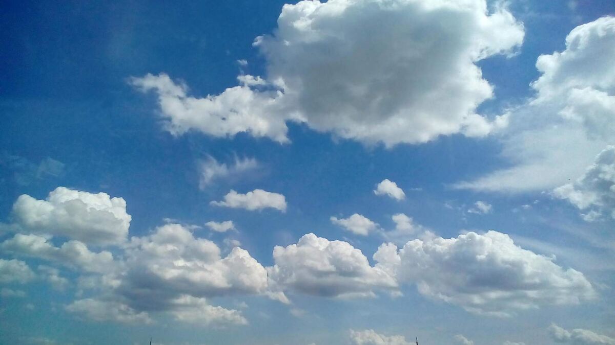 https://ok.ru/profile/562048338176/album/619240974592/895994894592