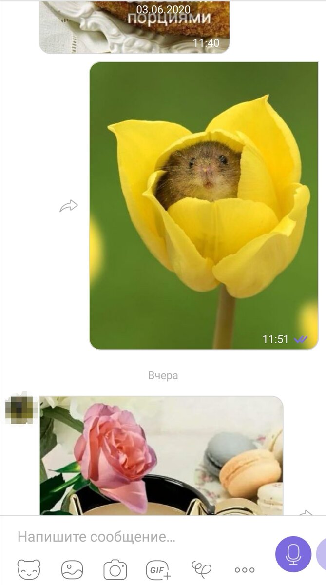 Скриншот из Вайбера