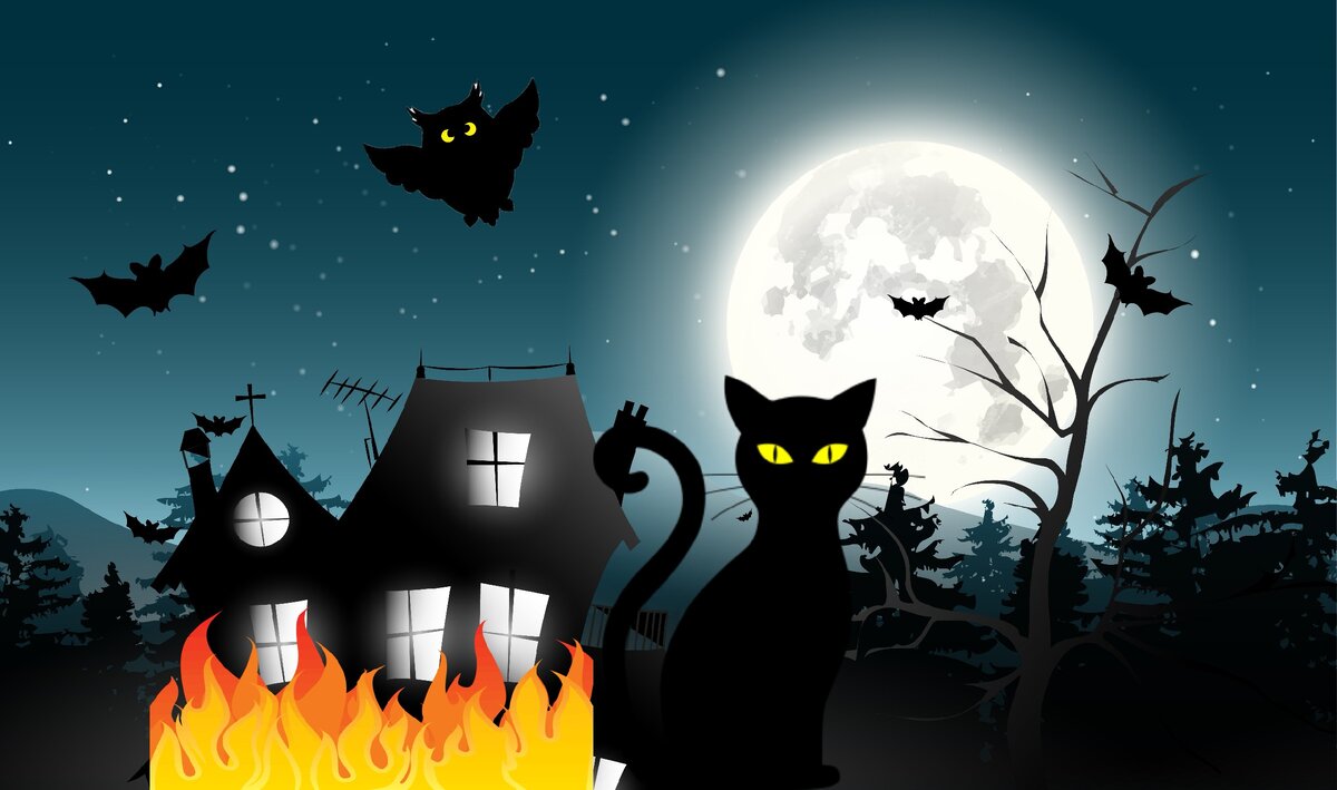 Не обижайте чёрного кота!