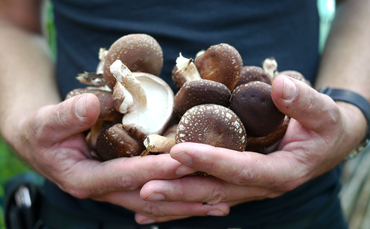 Фото из Яндекс.картинки