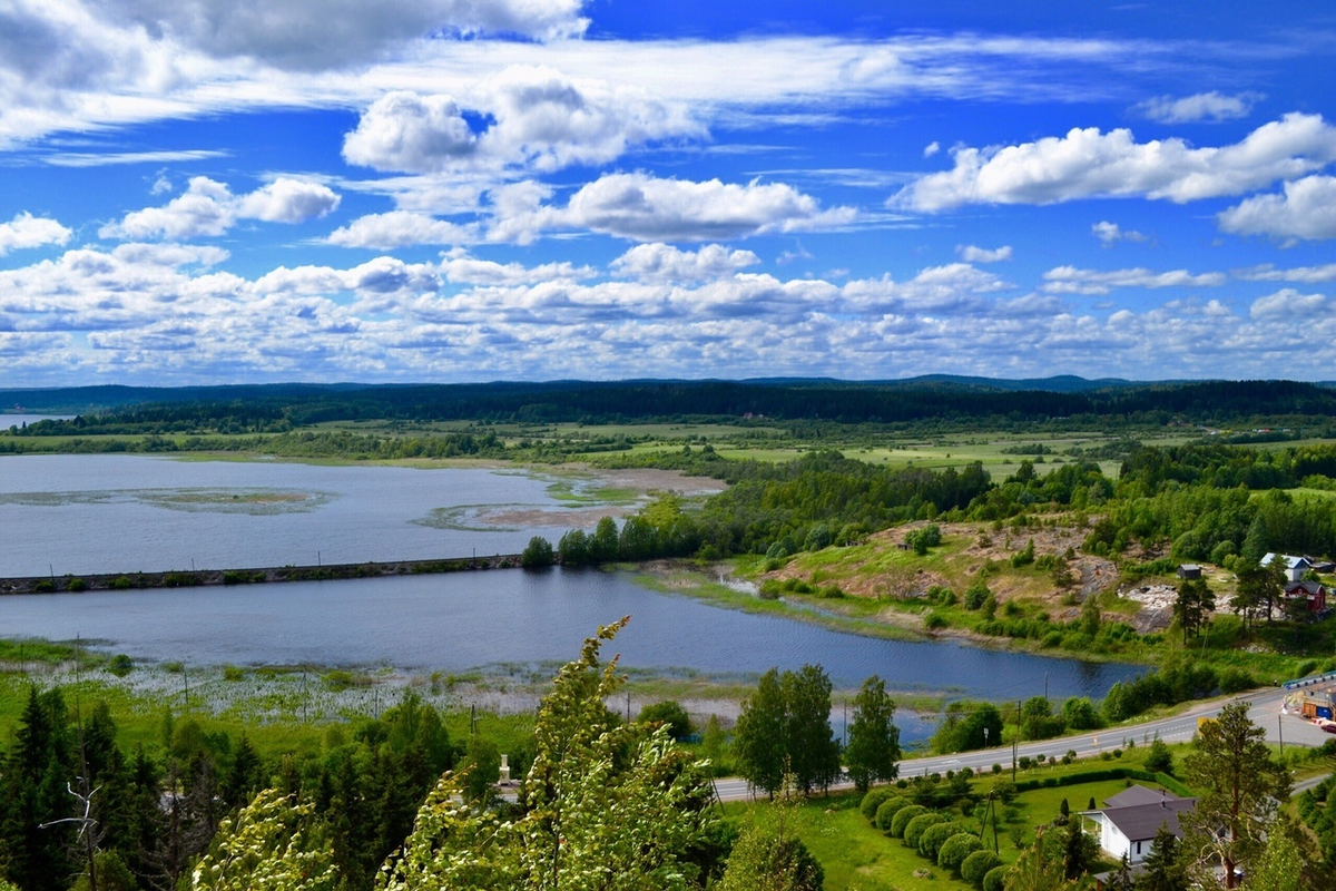 (Фото: Татьяна Григорьева)