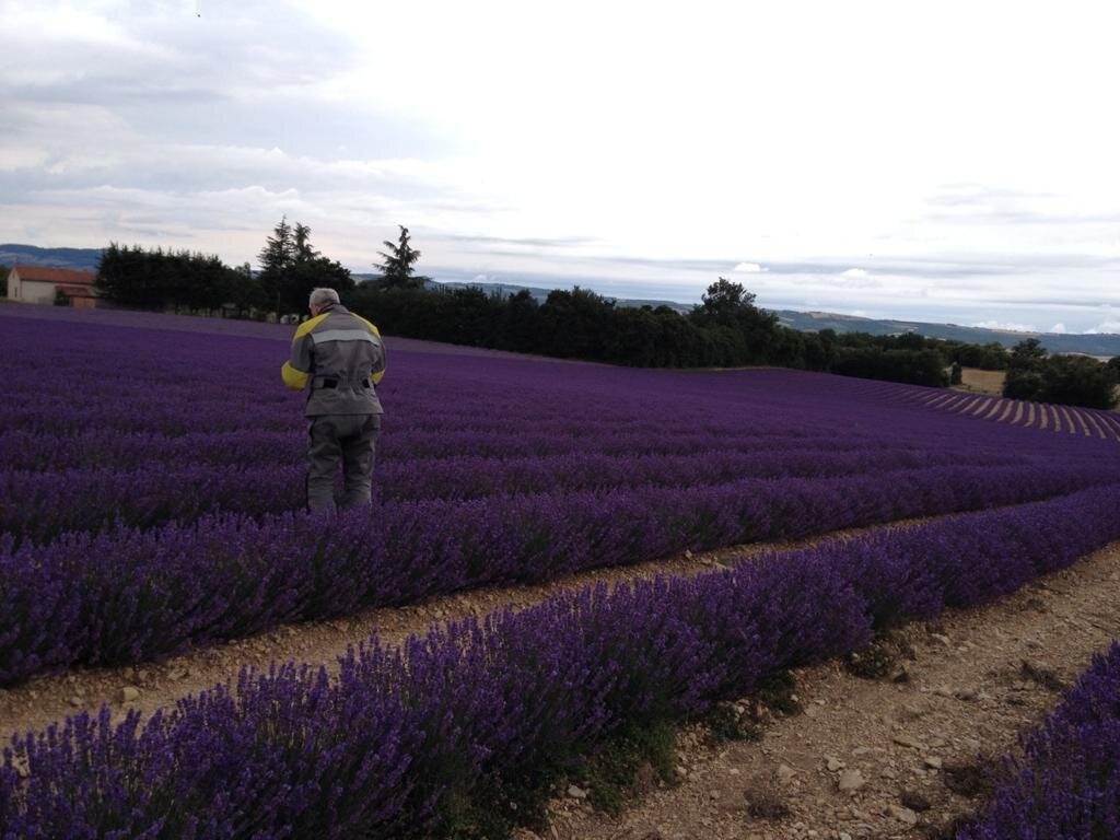 Изображение ил личного архива