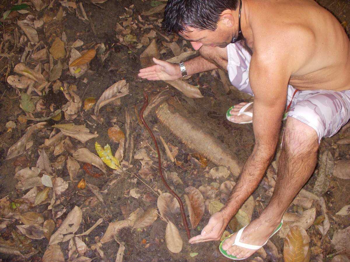 Близко червяка мы не покажем, потому что тогда нарушим правила Дзена, но вы можете погуглить! Однако миссия нашего проекта освятить все существующие виды животных, даже если они выглядят не очень. 