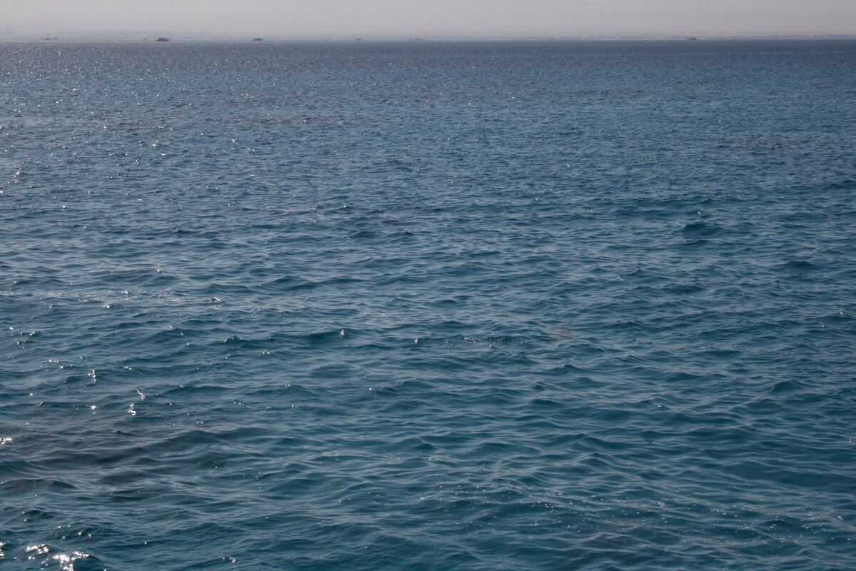 Прекрасное Красное море