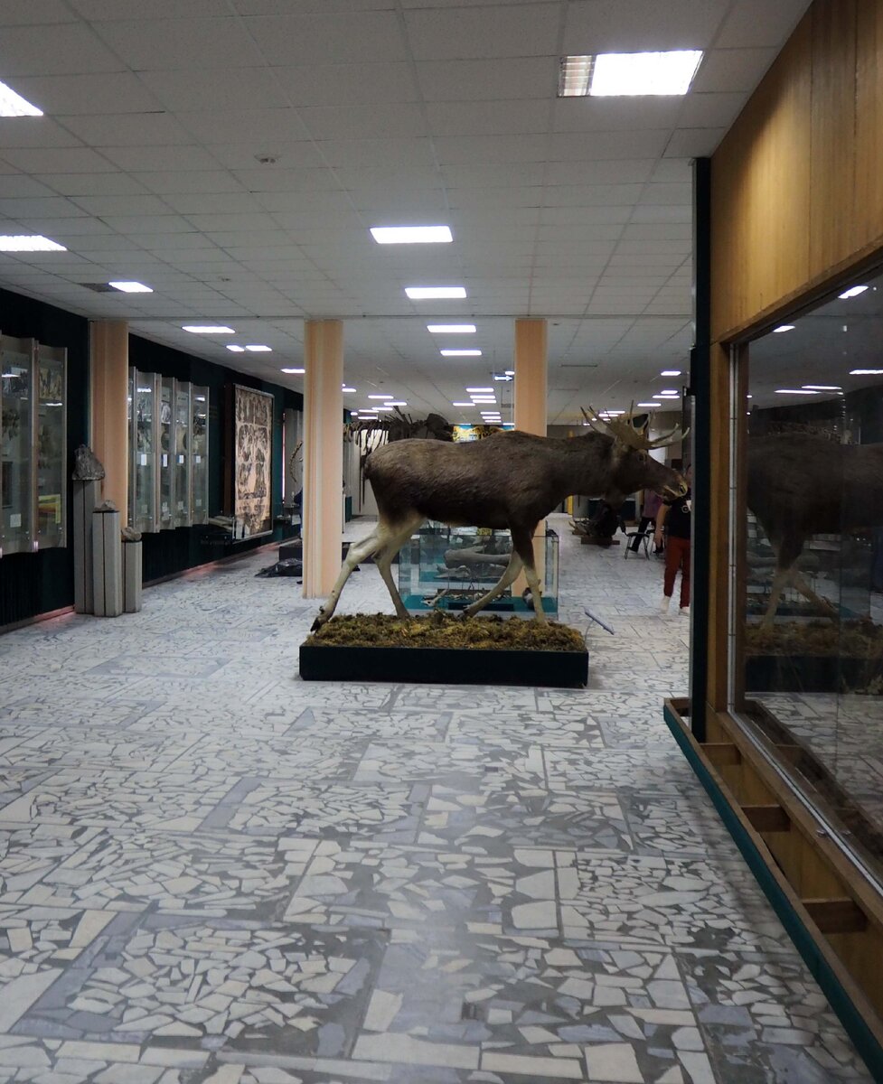 Брянский краеведческий музей. Фотография автора 2020