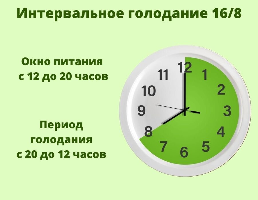 Пример распределения режимов питания и отказа от пищи, вариант 16/8