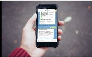 Источник: из свободного доступа