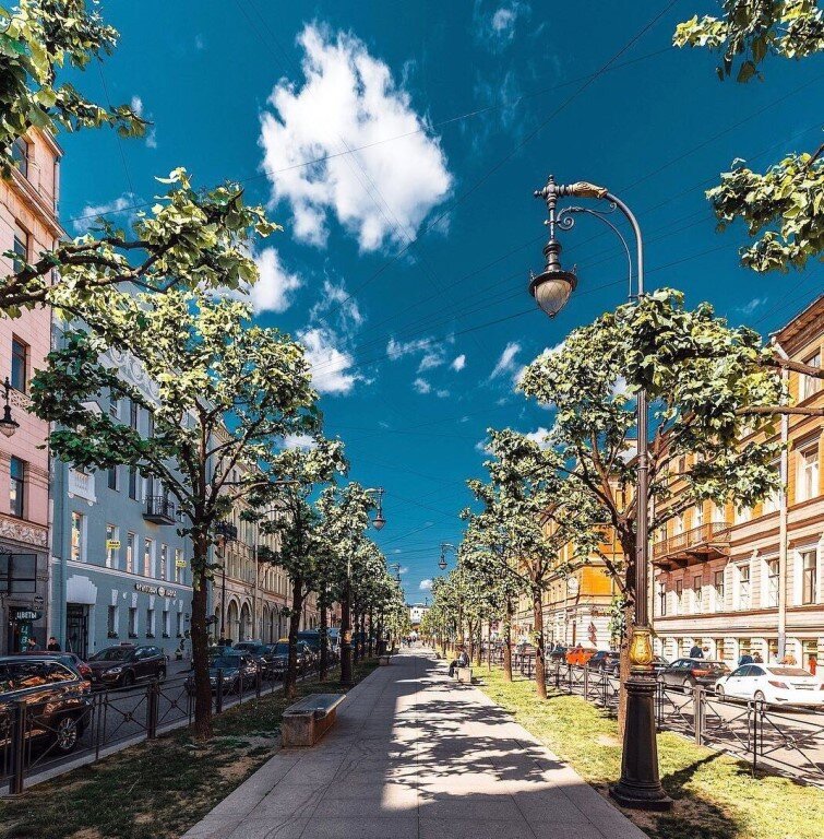 Яндекс-картинки. Санкт-Петербург, Большая Конюшенная улица