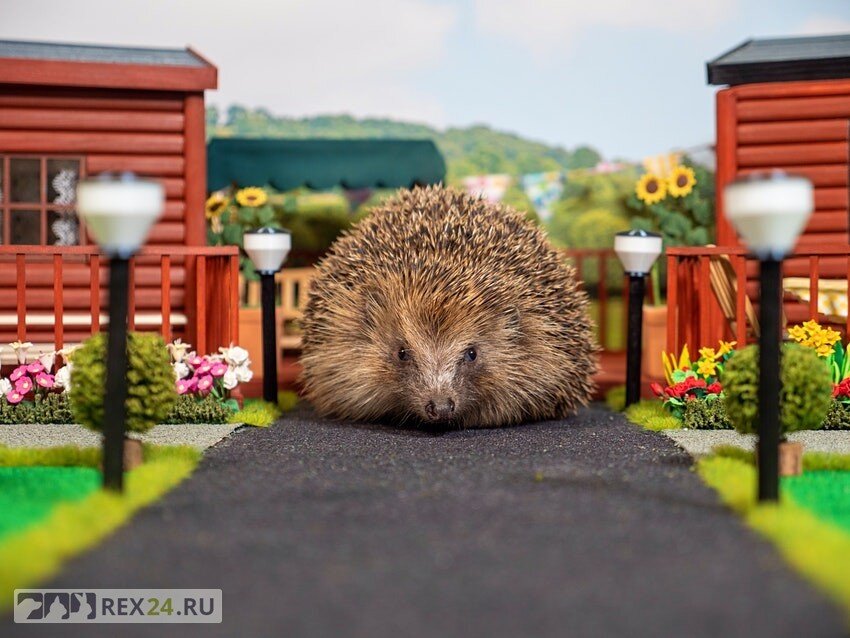 Фото: lonelyplanet.com