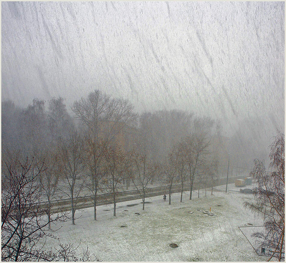 Фотография взята из интернета. 