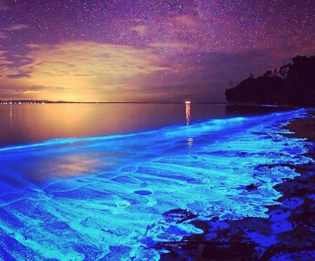 Остров Ваадху, Мальдивы                                                                                                                               Казалось бы, что интересного может быть в биолюминесцентном фитопланктоне? Однако посмотреть на него стоит. Уникальный вид планктона, который светится в темноте, можно увидеть только на острове Ваадху. Волны, набегая на берег, уносят его с собой, и вода начинает переливаться сотнями, тысячами сверкающих огней.