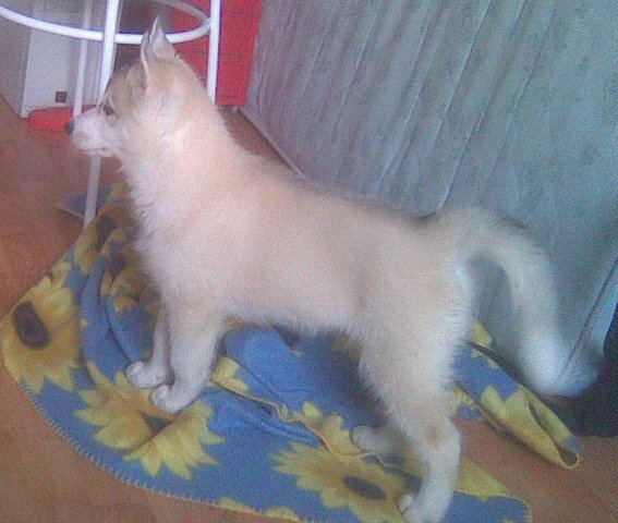 Первый день дома