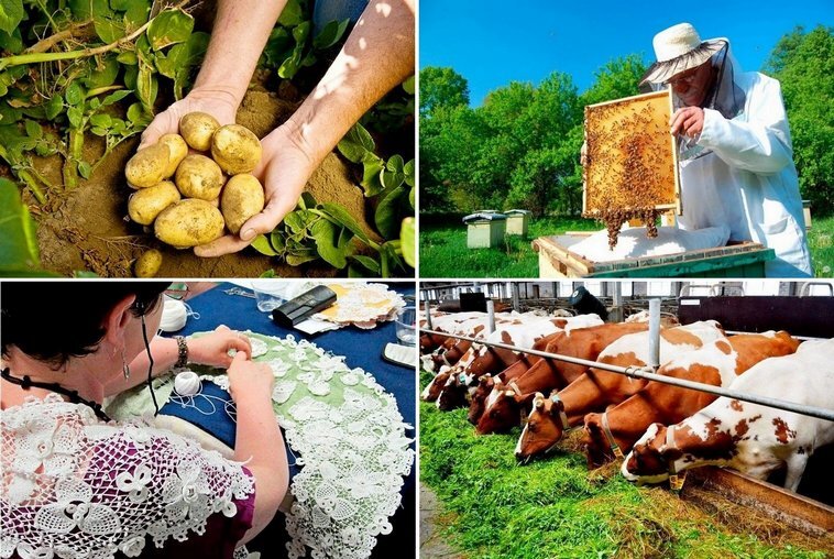 Производство комбикорма: бизнес-план, как начать с нуля