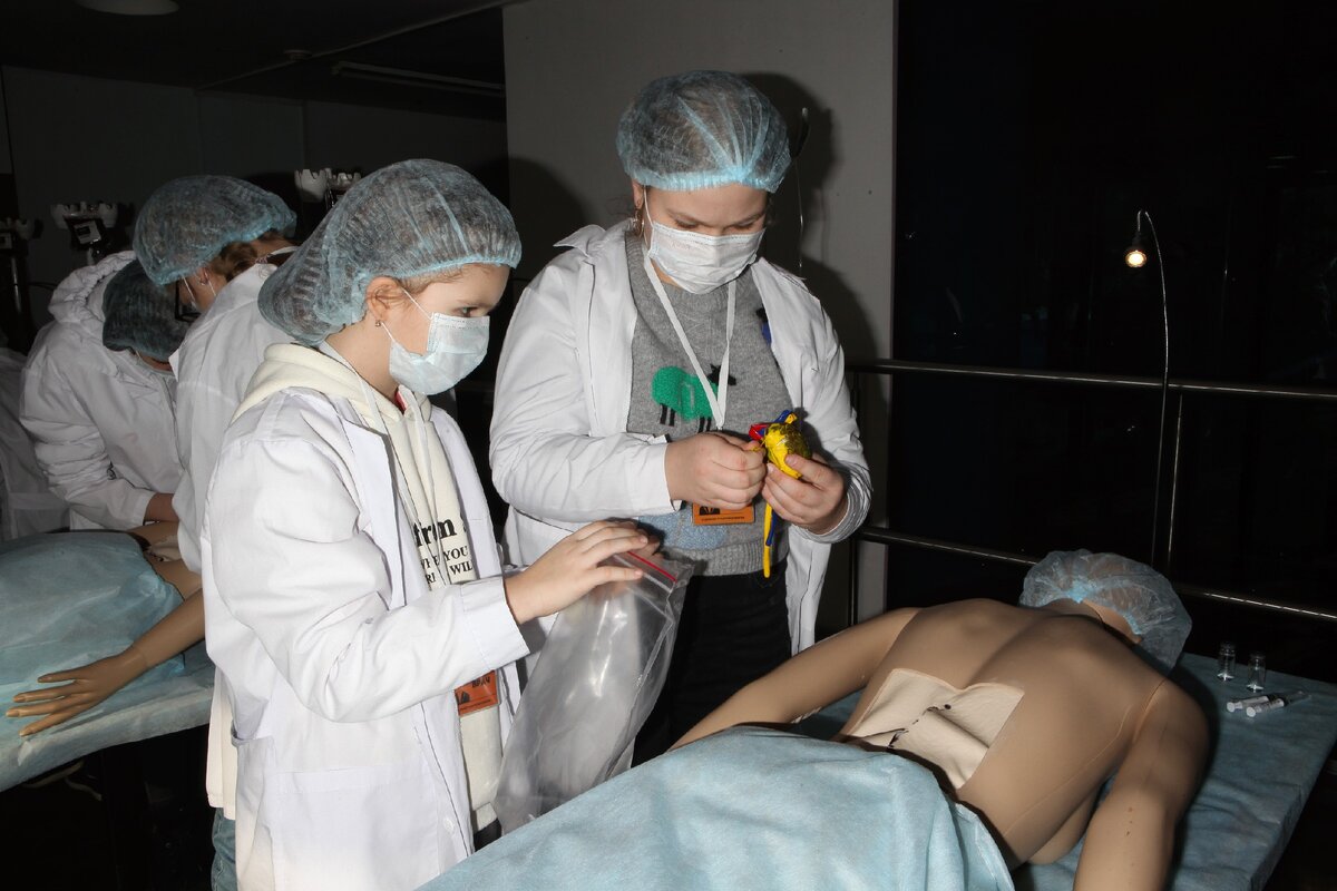 На занятии по трансплантологии 